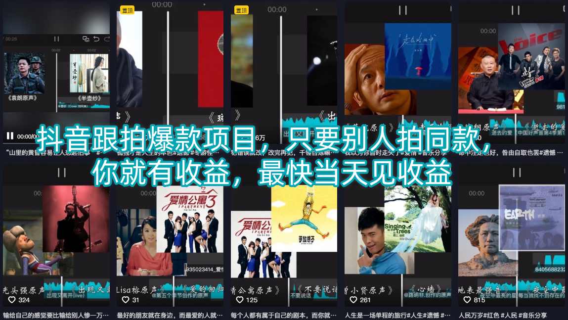 抖音跟拍爆款项目，只要别人拍同款，你就有收益，最快当天见收益 - 臻优资源网