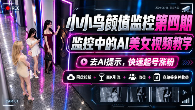 小小鸟颜值监控第四期，监控中的AI美女视频教学，去AI提示，快速起号涨粉，网盘拉新+商K引流+收徒+商单等多种收益 - 臻优资源网