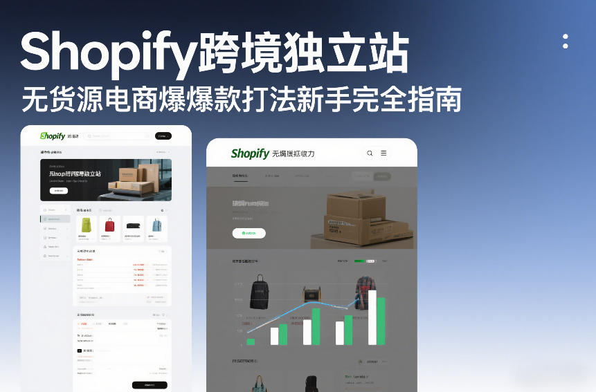 Shopify跨境独立站无货源电商爆款打法新手完全指南 - 臻优资源网
