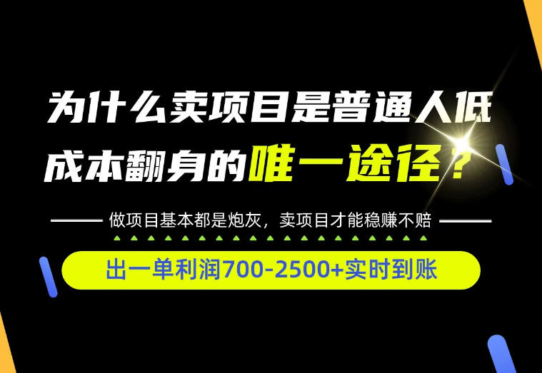 普通人如何靠互联网賺取自己的第一桶金！全类目实操型教学，看完你全都懂了！【揭秘】 - 臻优资源网