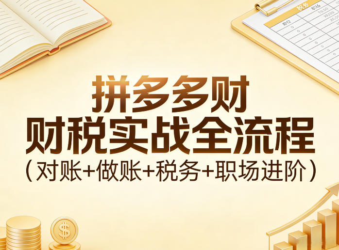 拼多多财税实战全流程（对账+做账+税务+职场进阶） - 臻优资源网