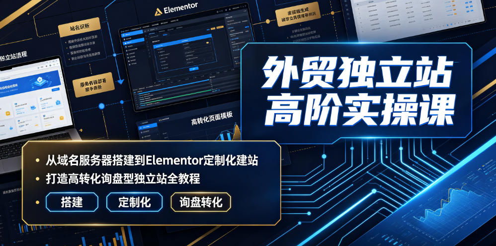 外贸独立站高阶实操课｜从域名服务器搭建到Elementor定制化建站，打造高转化询盘型独立站全教程 - 臻优资源网
