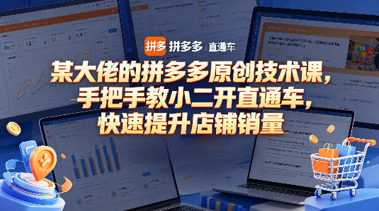 某大佬的拼多多原创技术课，手把手教小二开直通车，快速提升店铺销量 - 臻优资源网