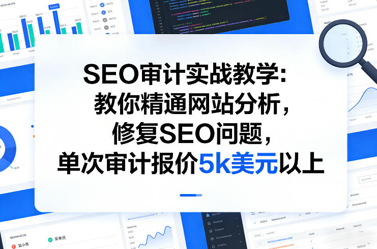 SEO审计实战教学：教你精通网站分析，修复SEO问题，单次审计报价5k美元以上 - 臻优资源网