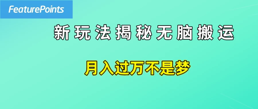 简单操作,每天50美元收入,搬运就是赚钱的秘诀! - 项目资源网