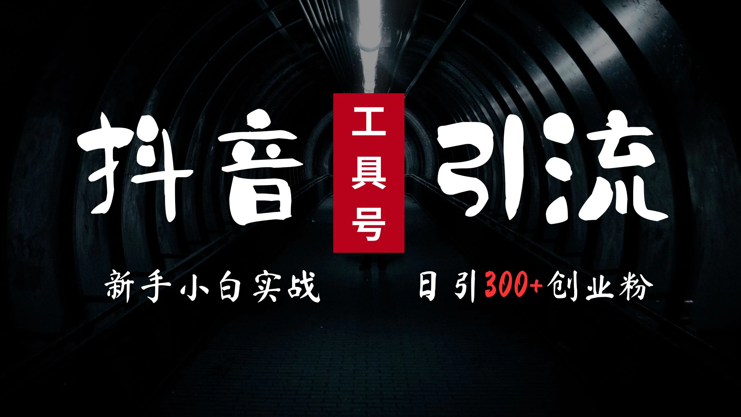 2024最新抖音工具号引流玩法,高效日引300+创业粉,当天变现5000+,小白也可成为实战高手 - 项目资源网