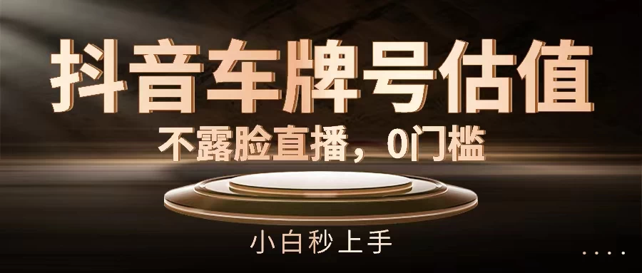 抖音车牌号估值,不露脸直播,0门槛,小白秒上手 - 项目资源网