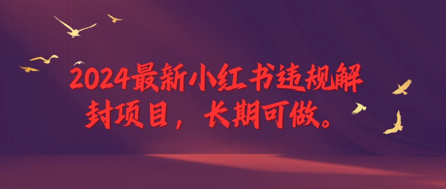 2024最新小红书违规解封项目，一个可以做到退休的项目 - 项目资源网