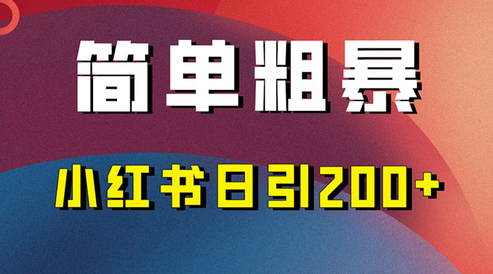 简单粗暴的小红书引流技巧,大道至简,看完实操日引 200+ - 项目资源网