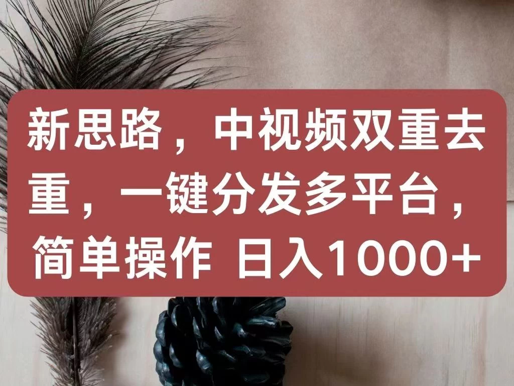 新思路,中视频双重去重,一键分发多平台,简单操作,日入1000+!快来试试吧! - 项目资源网