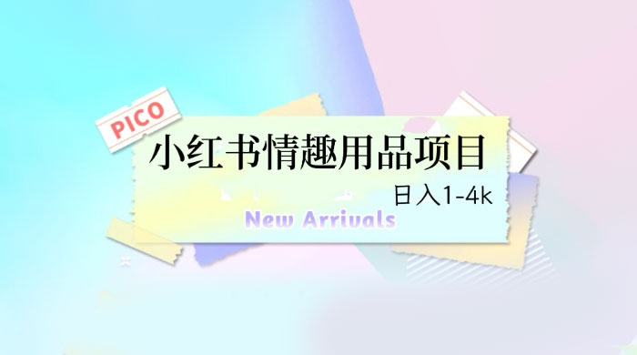 小红书情趣用品项目：详细教程，高转化收益快 - 项目资源网