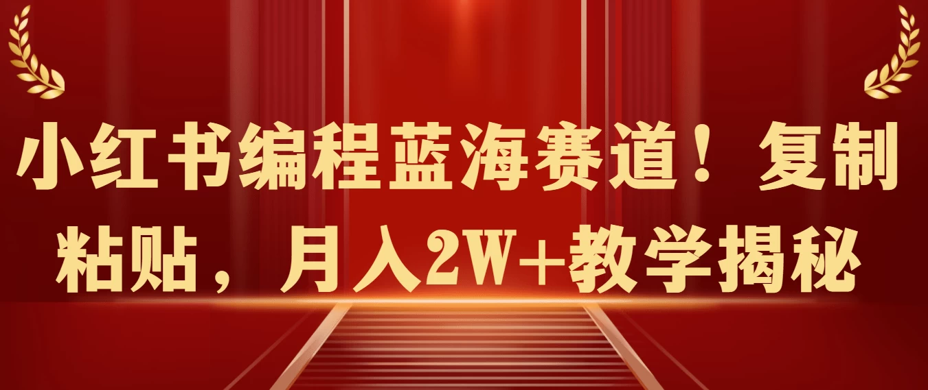小红书编程蓝海赛道！复制粘贴，月入2W+教学揭秘 - 项目资源网