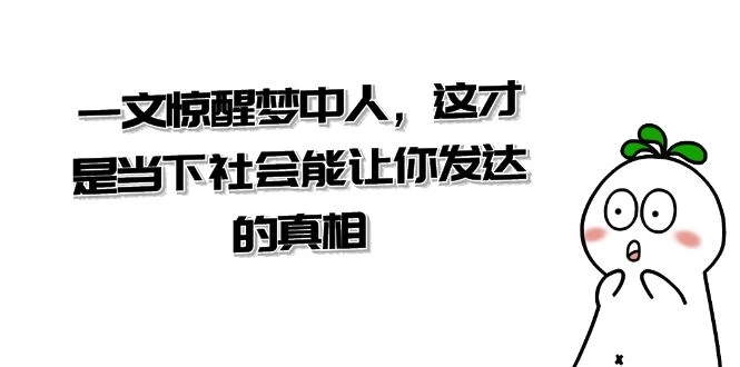 某公众号付费文章《一文惊醒梦中人,这才是当下社会能让你发达的真相》 - 项目资源网