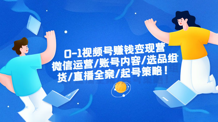 视频号赚钱变现营：微信运营、账号内容、选品组货、直播全案、起号策略 - 项目资源网