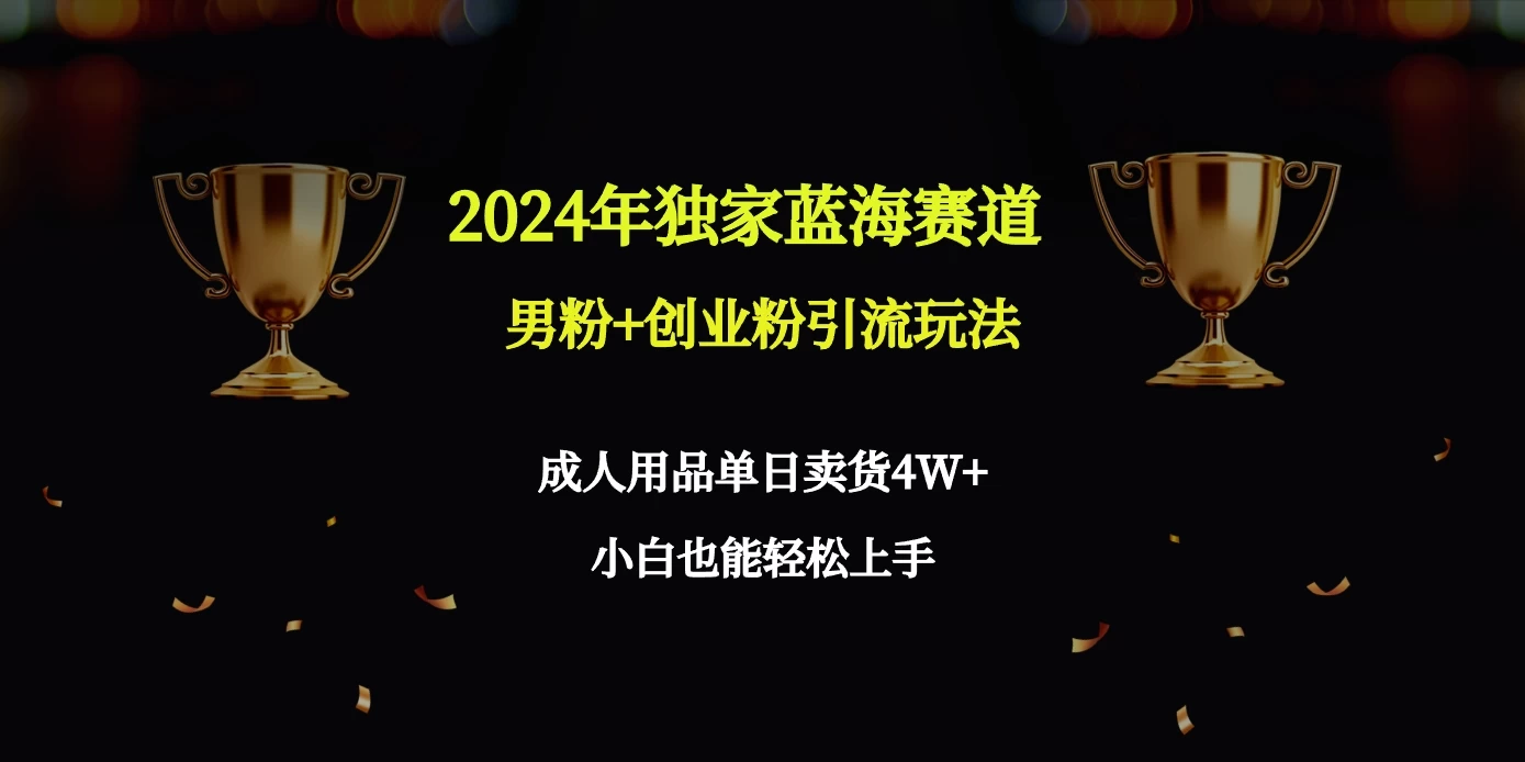 2024独家蓝海赛道,男粉+创业粉引流玩法。 - 项目资源网