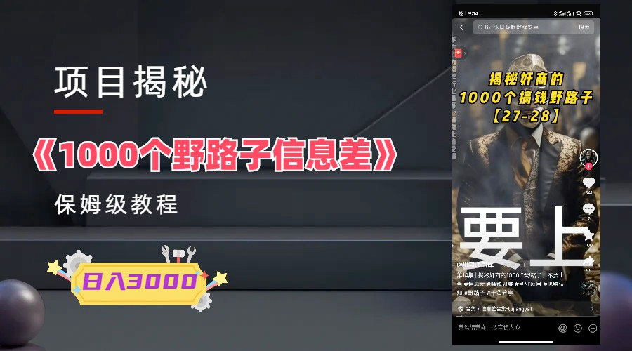 1000 个野路子信息差保姆式教程:单日变现 3000+ 的玩法解密 - 项目资源网