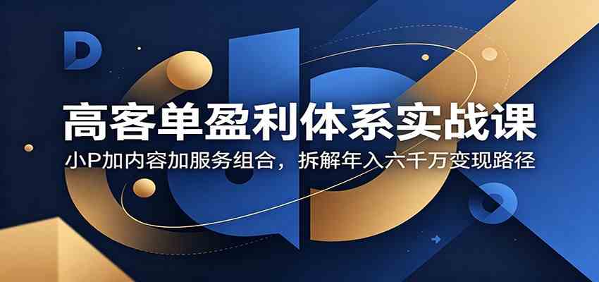 高客单盈利体系实战课：小P加内容加服务组合，拆解年入六千万变现路径 - 项目资源网