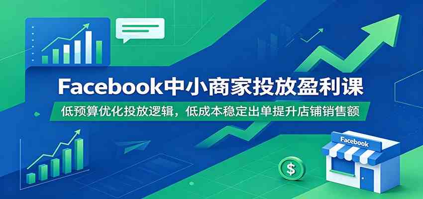 Facebook中小商家投放盈利课：低预算优化投放逻辑，低成本稳定出单提升店铺销售额 - 项目资源网