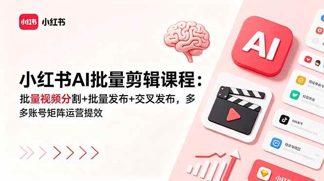 （18959期）小红书AI批量剪辑课程：批量视频分割+批量发布+交叉发布，多账号矩阵运营提效 - 项目资源网