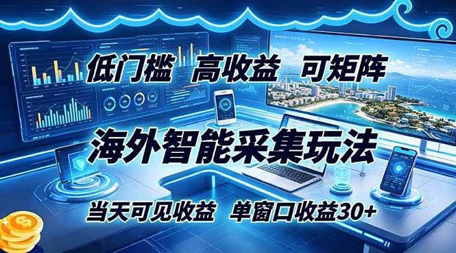 （18955期）海外智能采集玩法，低门槛高单价可矩阵，当天可见收益，单窗口30+ - 项目资源网