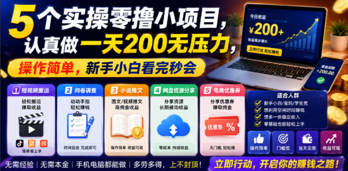 5个实操零撸小项目，认真做一天200无压力，操作简单，新手小白看完秒会【揭秘】 - 项目资源网