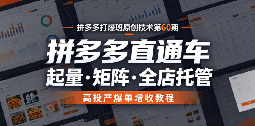 拼多多打爆班原创技术第60期，拼多多直通车，起量・矩阵・全店托管，高投产爆单增收教程 - 项目资源网