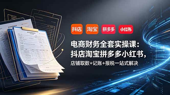 （19001期）电商财务全套实操课：抖店淘宝拼多多小红书，店铺取数+记账+报税一站式解决 - 项目资源网