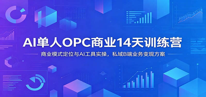 AI单人OPC商业14天训练营：商业模式定位与AI工具实操，私域B端业务变现方案 - 项目资源网